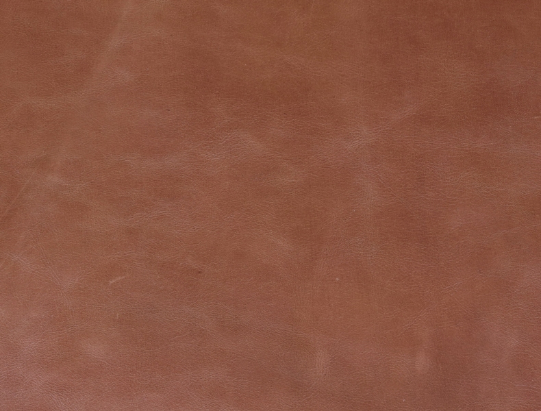 5298-Swatch