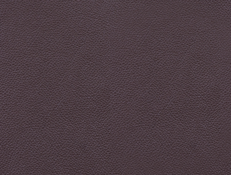 5307-Swatch