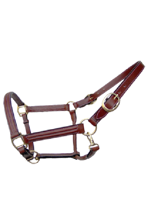 HA001A214l